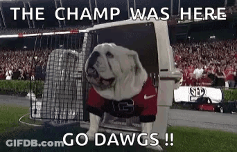 Bulldog In Red And Black Jersey Jumping Out Of Cage GIF