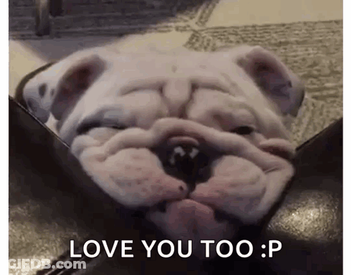Bulldog Laying On Couch Saying Love You Too GIF