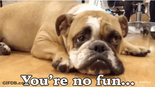 Bulldog Laying On Floor Saying You're No Fun GIF