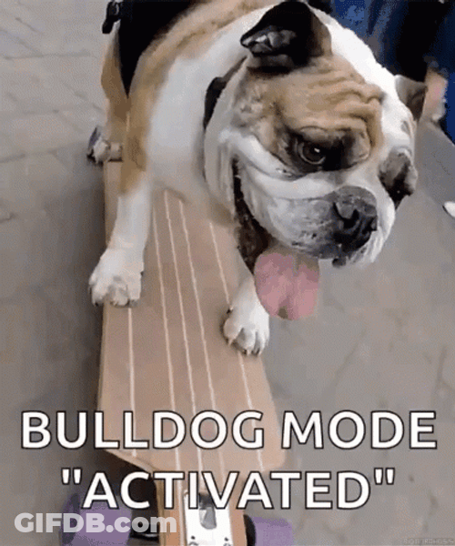 Bulldog Mode Activated Skateboarding GIF
