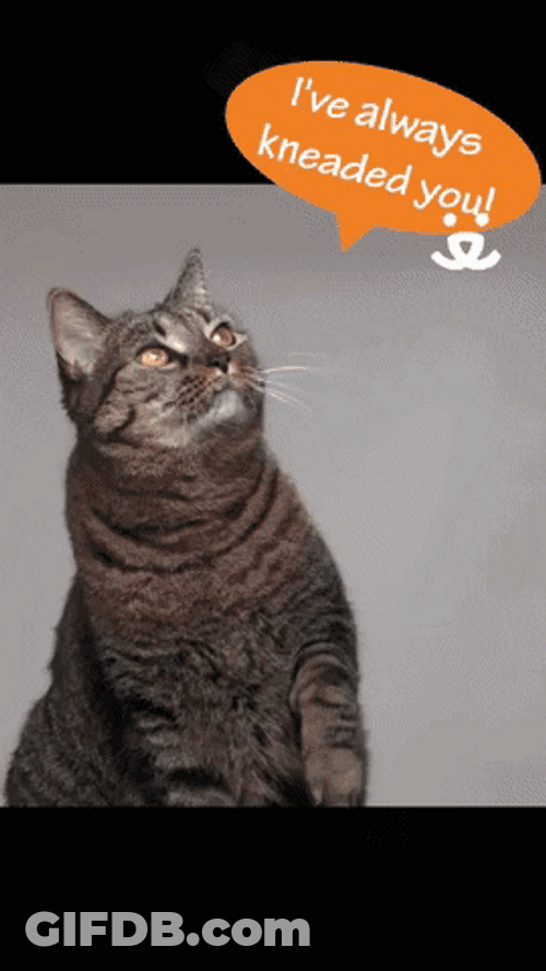 Bulldog Nice Work GIF