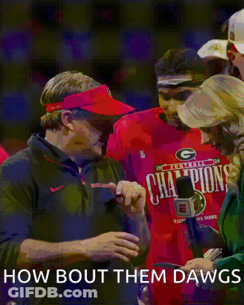 Bulldog On Leash Walking On Football Field In Red Uniform GIF