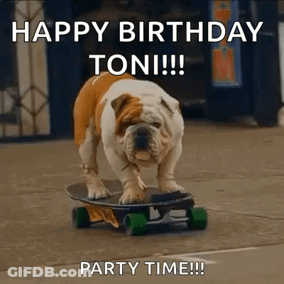 Bulldog Riding Skateboard Happy Birthday Toni Party Time GIF