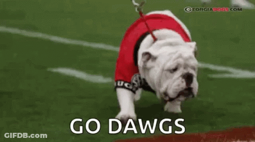 Bulldog Walking On Football Field In Red Uniform GIF