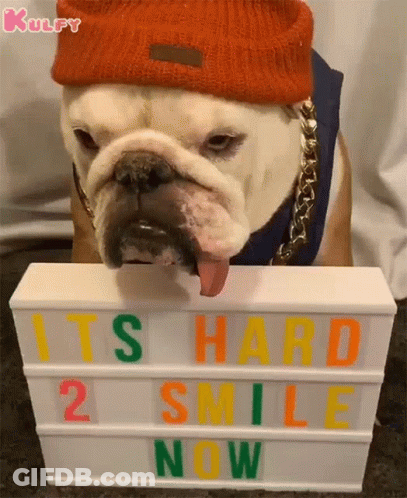 Bulldog With Hat And Chain Holding Sign Saying It's Hard 2 Smile Now GIF