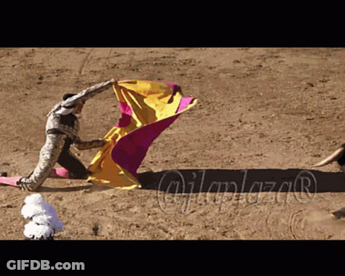 Bullfighting Torero GIF