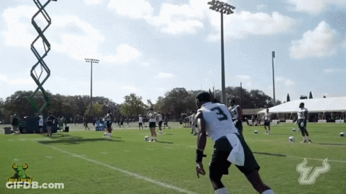 Bullpen Logo On Football Field GIF