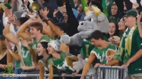 Bullpen Mascot Cheered By Crowd GIF