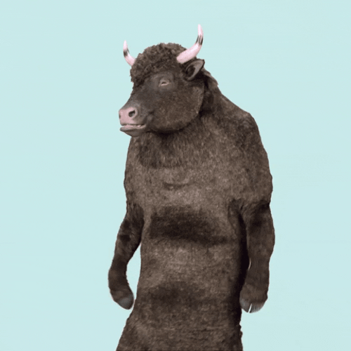 Bulls Floss Dance GIF