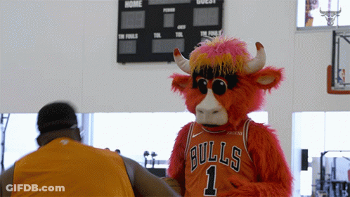 Bulls Mascot In Sunglasses And Jersey Number 1 GIF