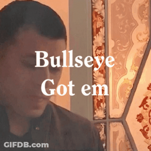 Bullseye Got Em Gottem GIF