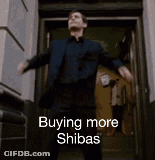 Bully Maguire Dance Buying More Shibas GIF