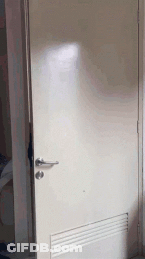 Bully Maguire Dance Moves Meme GIF