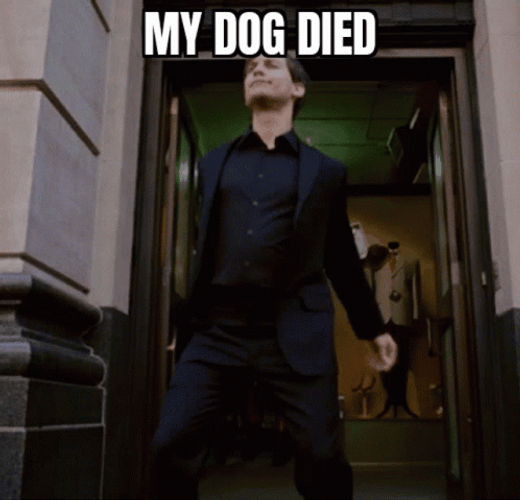 Bully Maguire Dance My Dog Died GIF