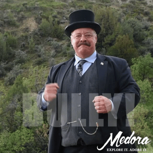 Bully Theodore Roosevelt GIF