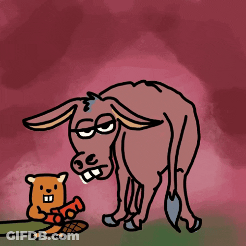Bum Water Hose GIF