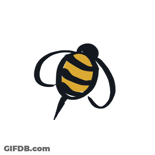 Bumble Bee Insect GIF