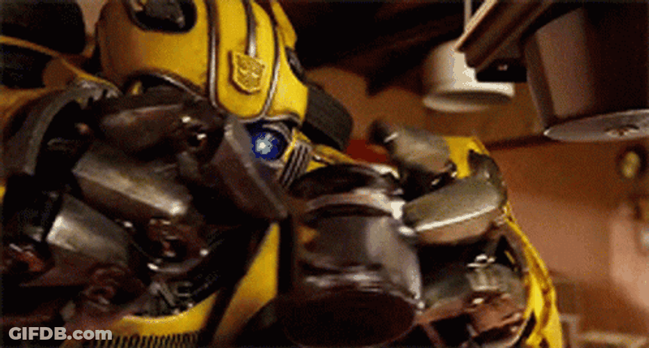 Bumblebee Drinking Coffee GIF