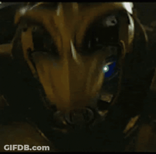 Bumblebee Face Protection Transform GIF