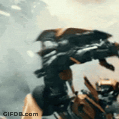 Bumblebee Got Attacked GIF