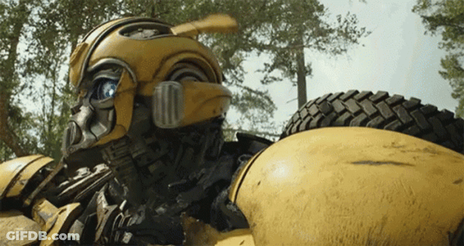 Bumblebee Ready To Attack GIF