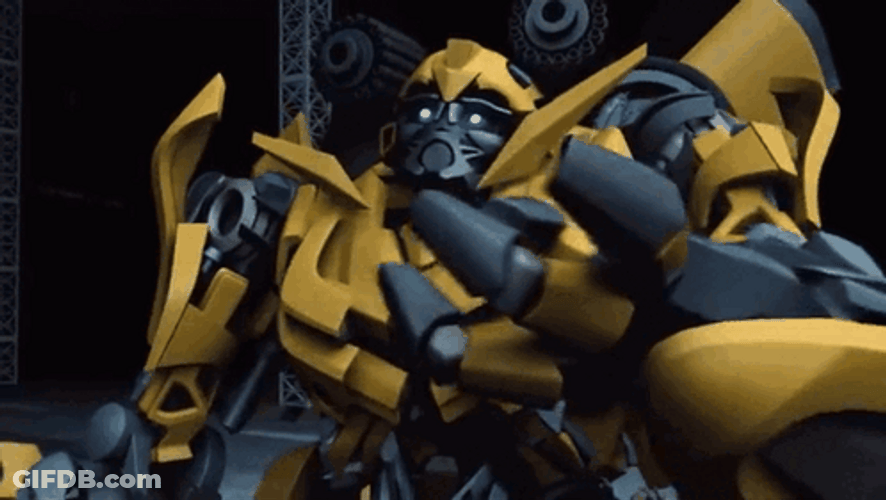 Bumblebee Telling Something GIF