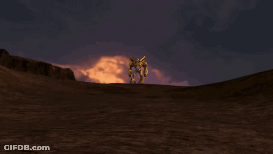 Bumblebee Zoomed In Shoot GIF