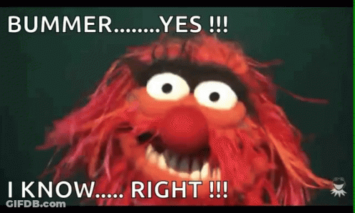 Bummer Yes !!! I Know Right !!! Is Written Next To A Picture Of A Muppet GIF