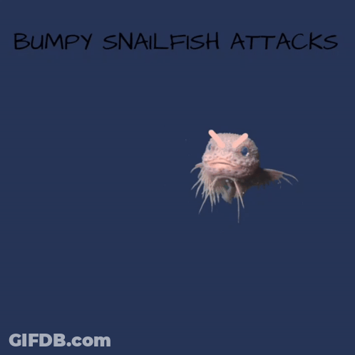 Bumpy Snailfish Attacks Drawing GIF