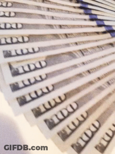 Bunch Of 100 Dollar Bills Lined Up GIF