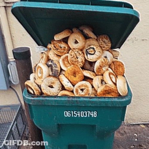 Bunch Of Bagel Got Wasted GIF