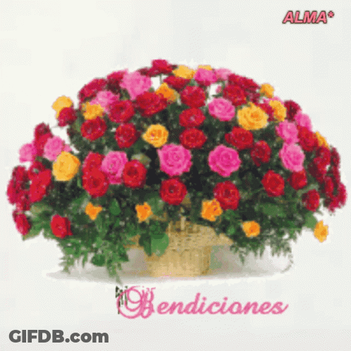 Bunch Of Flowers In Basket Saying Bendiciones GIF