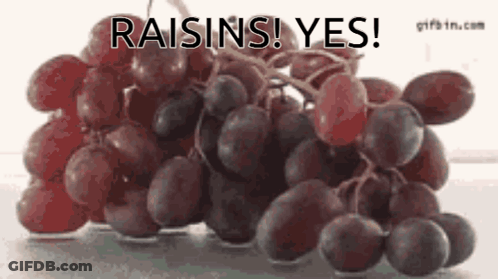 Bunch Of Grapes Saying Raisins Yes GIF