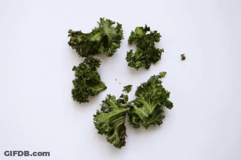 Bunch Of Green Leaves GIF