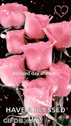 Bunch Of Pink Roses Blessed Day Ahead GIF