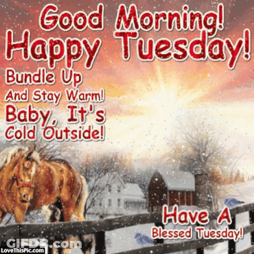 Bundle Up Stay Warm Tuesday Meme GIF
