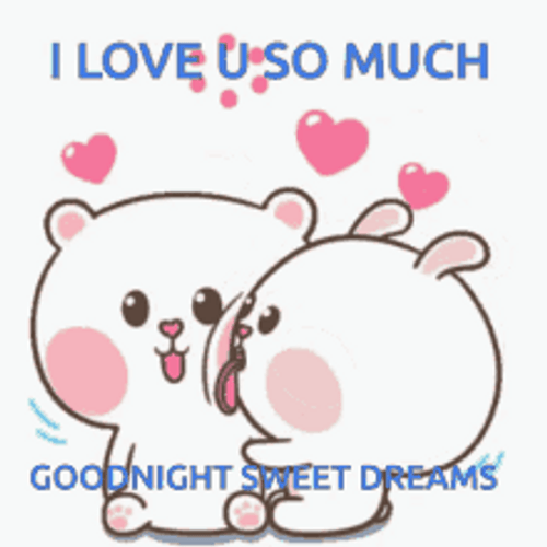 Bunnies Good Night I Love You So Much GIF