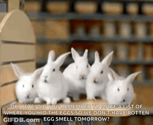 Bunnies Toys R Us GIF