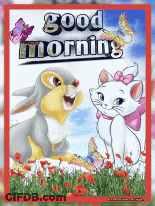 Bunny And Cat Happy Morning Tandem GIF