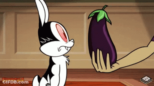 Bunny And Person Holding Eggplant Bunnycula GIF