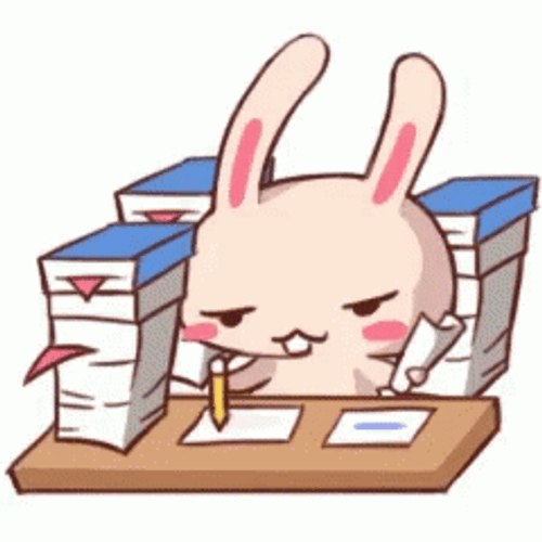 Bunny Busy Homework While Raising Eyebrows GIF