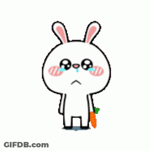 Bunny Dancing With Tears GIF