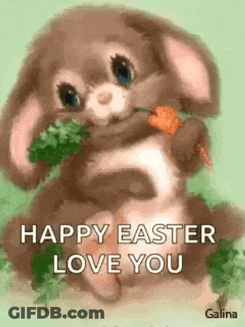 Bunny Easterbunny GIF