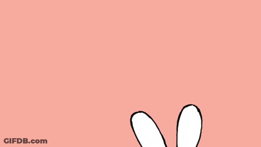 Bunny Giving Gift Happy Valentine's Day GIF