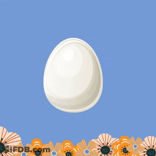 Bunny Hopping Out Of Shell GIF