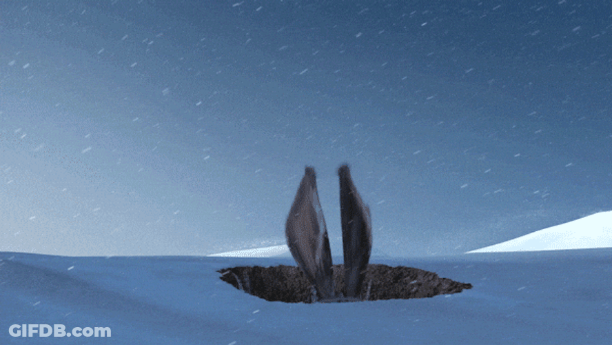 Bunny Hopping Rise Of The Guardians GIF