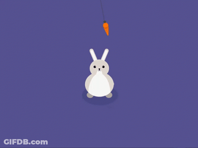 Bunny Hopping To Reach Hanged Carrot GIF