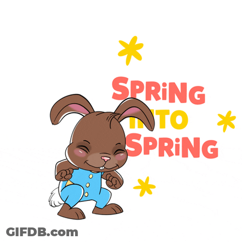 Bunny Jumping Happy Spring GIF