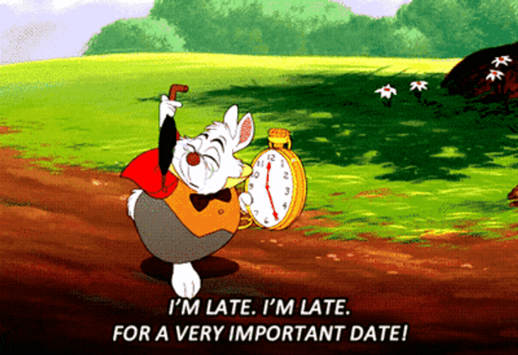 Bunny Late Alice In Wonderland GIF