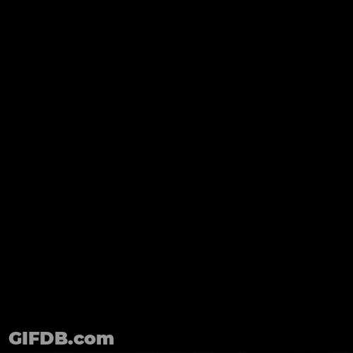 Bunny Love Cute Animal GIF